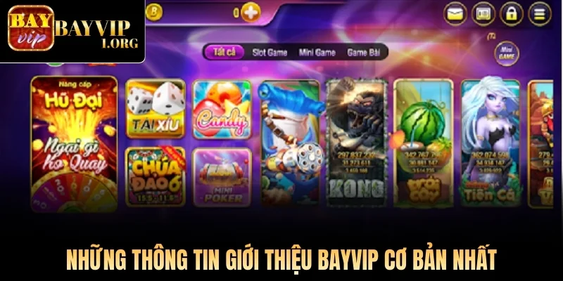 Những thông tin giới thiệu Bayvip cơ bản nhất